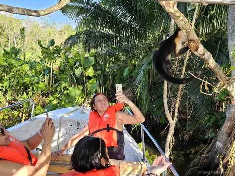 Mono capuchino en una rama sobre visitantes con chaleco salvavidas en un bote de panama monkey island