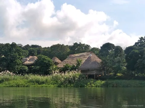 Cabañas Emberá con techo de paja entre árboles en la orilla, vistas desde el agua en un tour a la isla de los monos Panamá