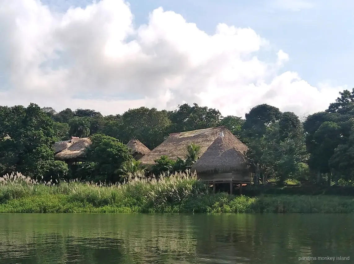 Cabañas Emberá con techo de paja entre árboles en la orilla, vistas desde el agua en un tour a la isla de los monos Panamá