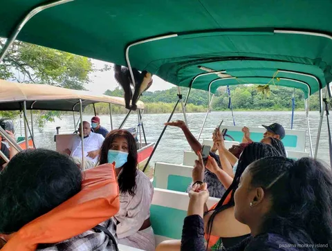 Mono capuchino colgado del toldo de un bote mientras los pasajeros lo graban en un viaje a panama monkey island