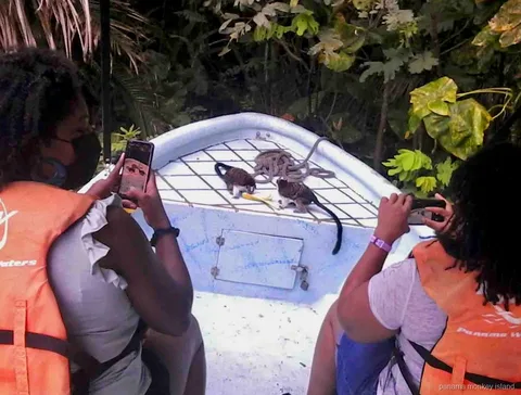 Two small tamarin monkeys on the bow of a boat while visitors take photos on the panama monkey island tour