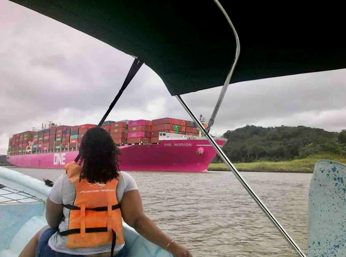 Pink container ship passing the boat of a panama monkey island tour on the Panama Canal