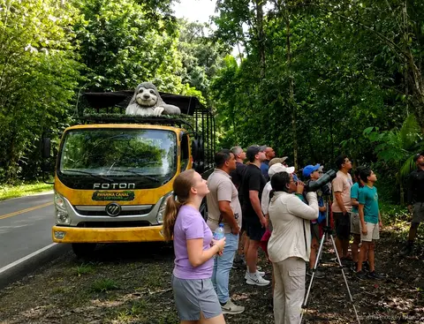 Yellow safari truck with a sloth statue on the roof as a group scans the treetops on a panama monkey island safari