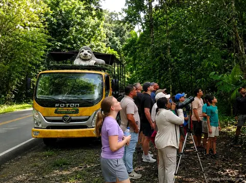 Camión safari amarillo con una estatua de perezoso en el techo y un grupo mirando las copas en panama monkey island
