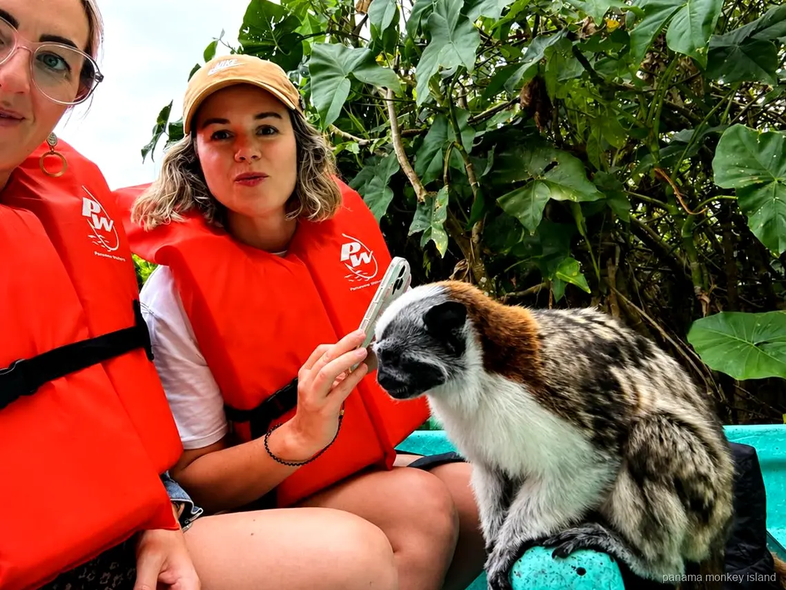 Mono tamarino sobre la borda de un bote junto a una visitante con un teléfono en el safari panama monkey island