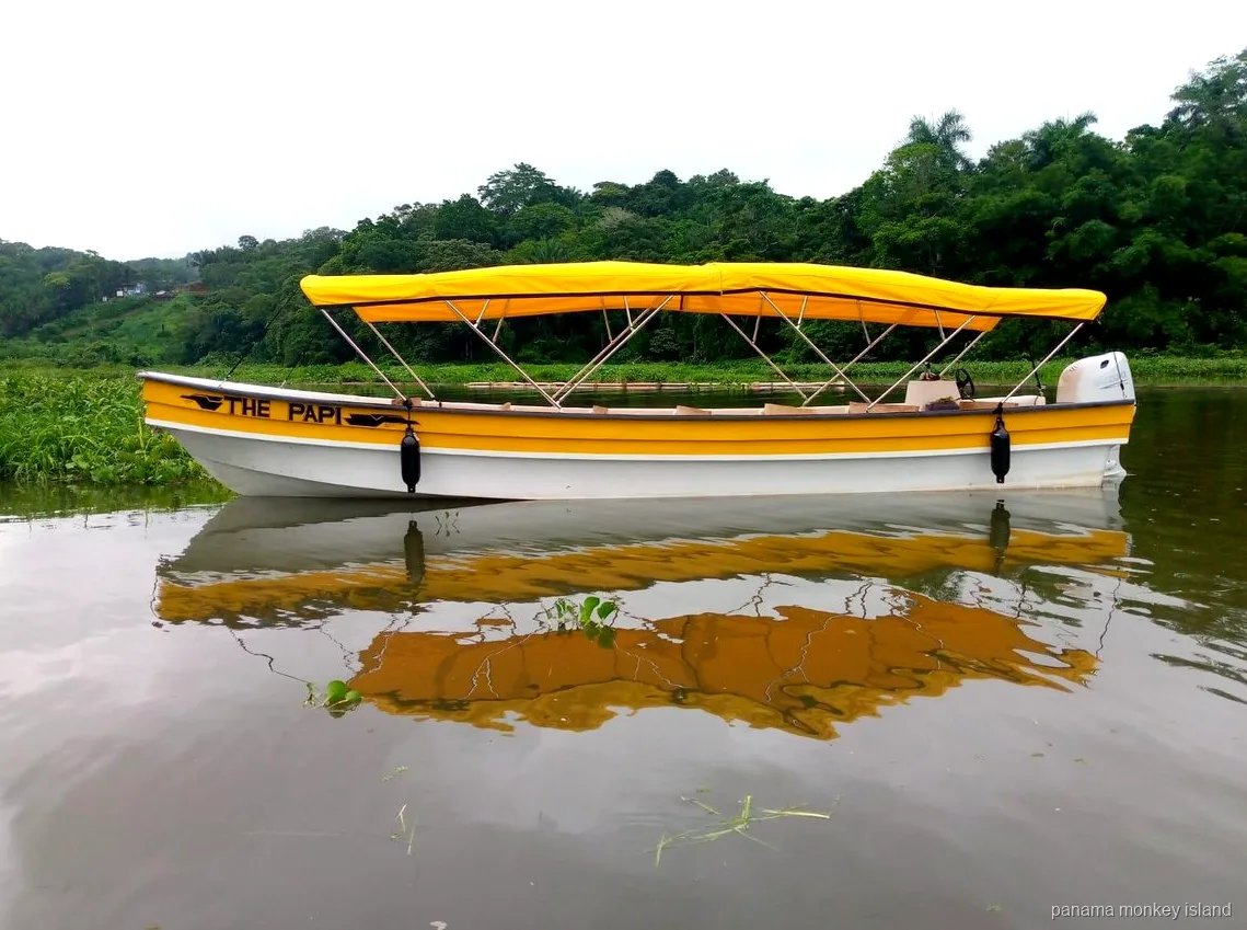 Bote de tour amarillo y blanco con toldo sobre aguas tranquilas junto a la selva, safari isla de los monos Panamá